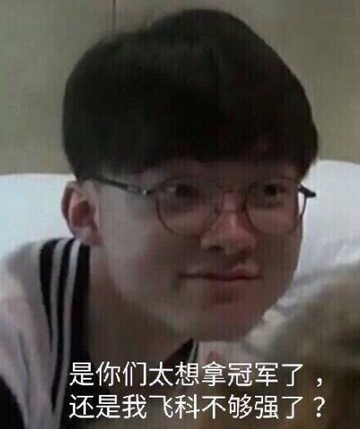 瞻与